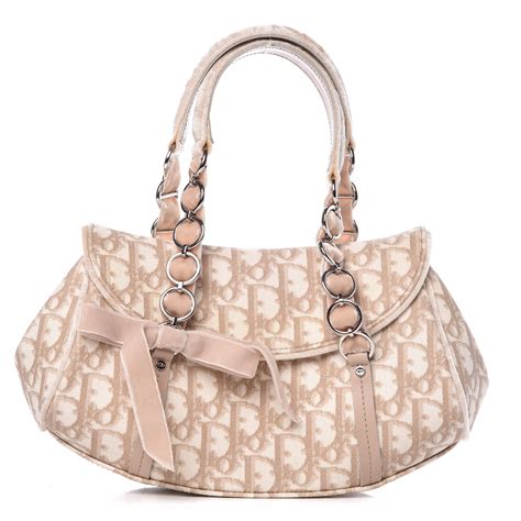 dior trotter cloth handbag|christian Dior trotter bag.